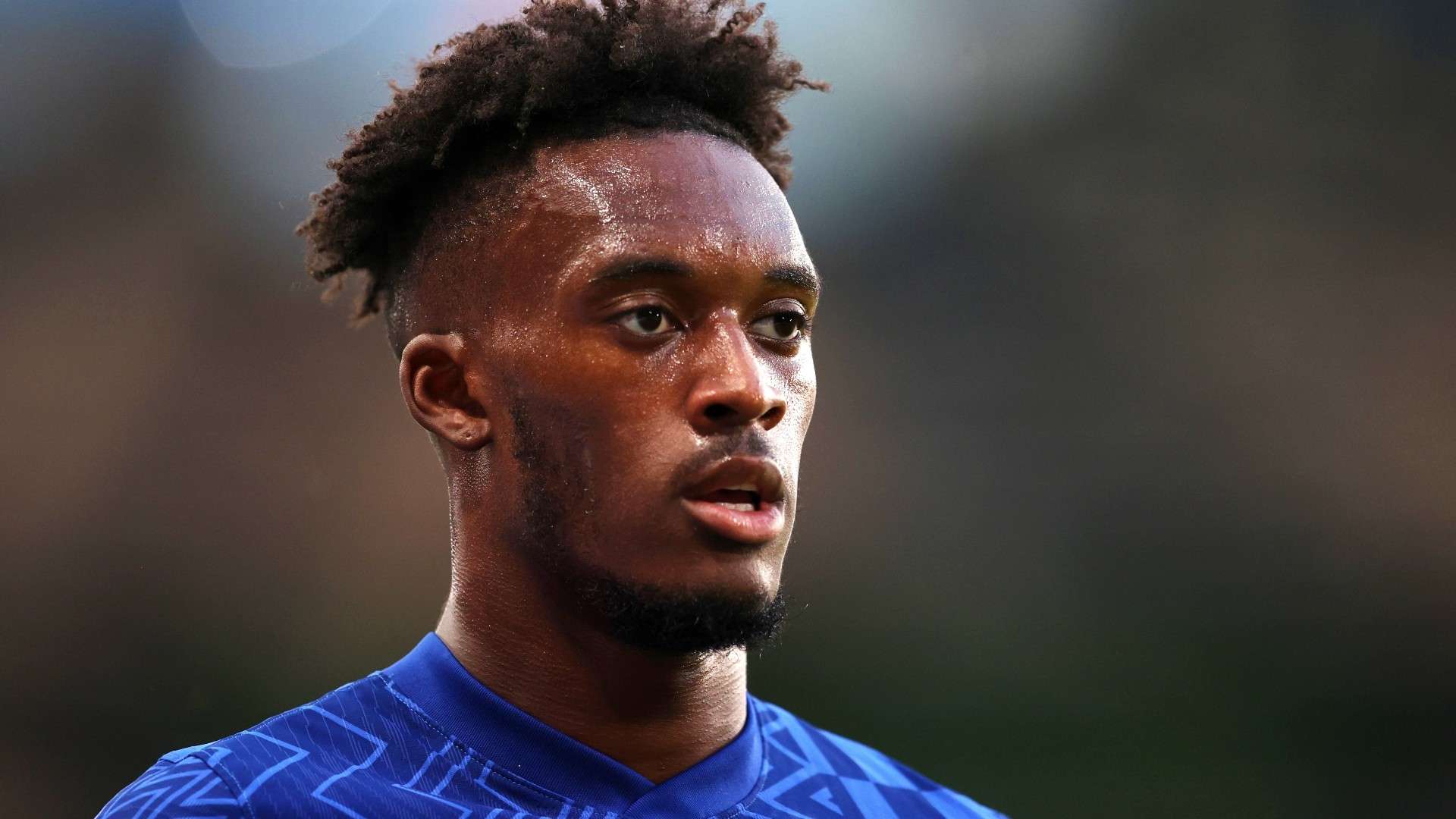 共同构成了 共同构成了